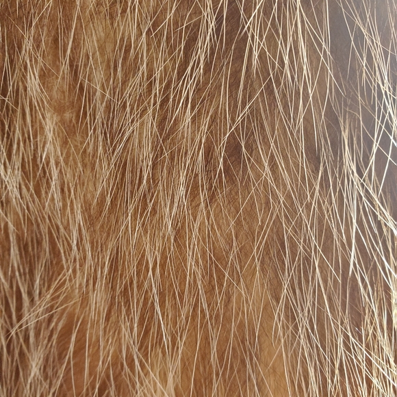 Vintage fur/leather jacket, seize S - Picture 4 of 5